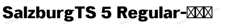 SalzburgTS 5 Regular字体转换